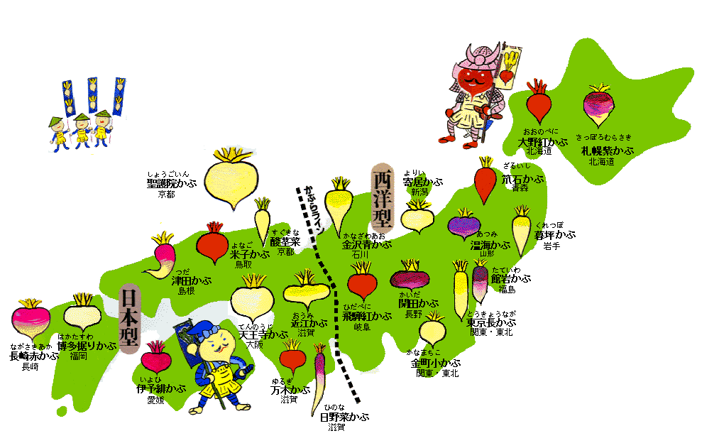 日本の味 旬の味 11月 野菜編 日本を発掘 もの研 便り
